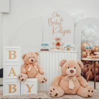 Premium Baby Shower Decor
